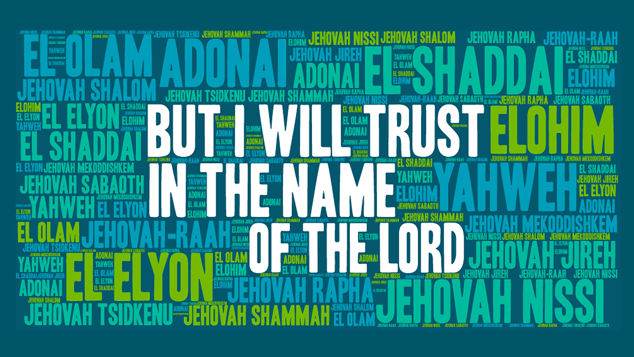 The Lord Who Provides